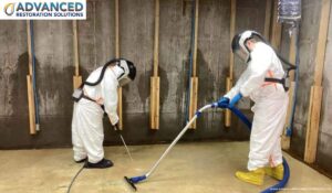 Mold After Water Damage Advanced Restoration Services