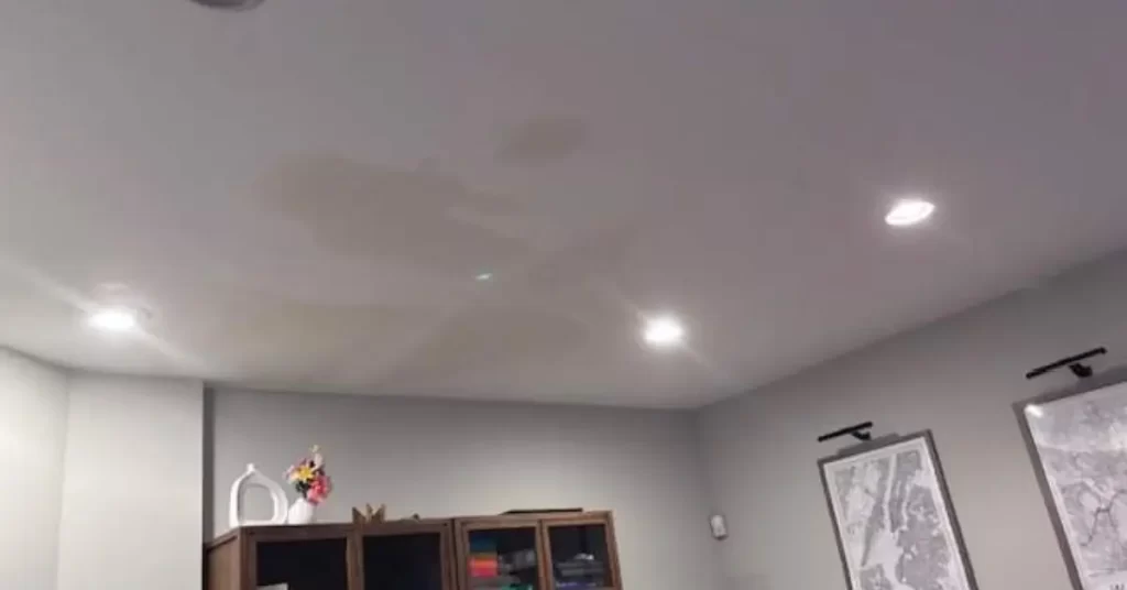 Fixing a Roof Leak project