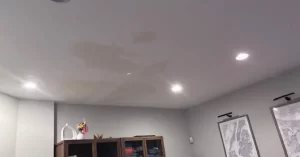 Fixing a Roof Leak project