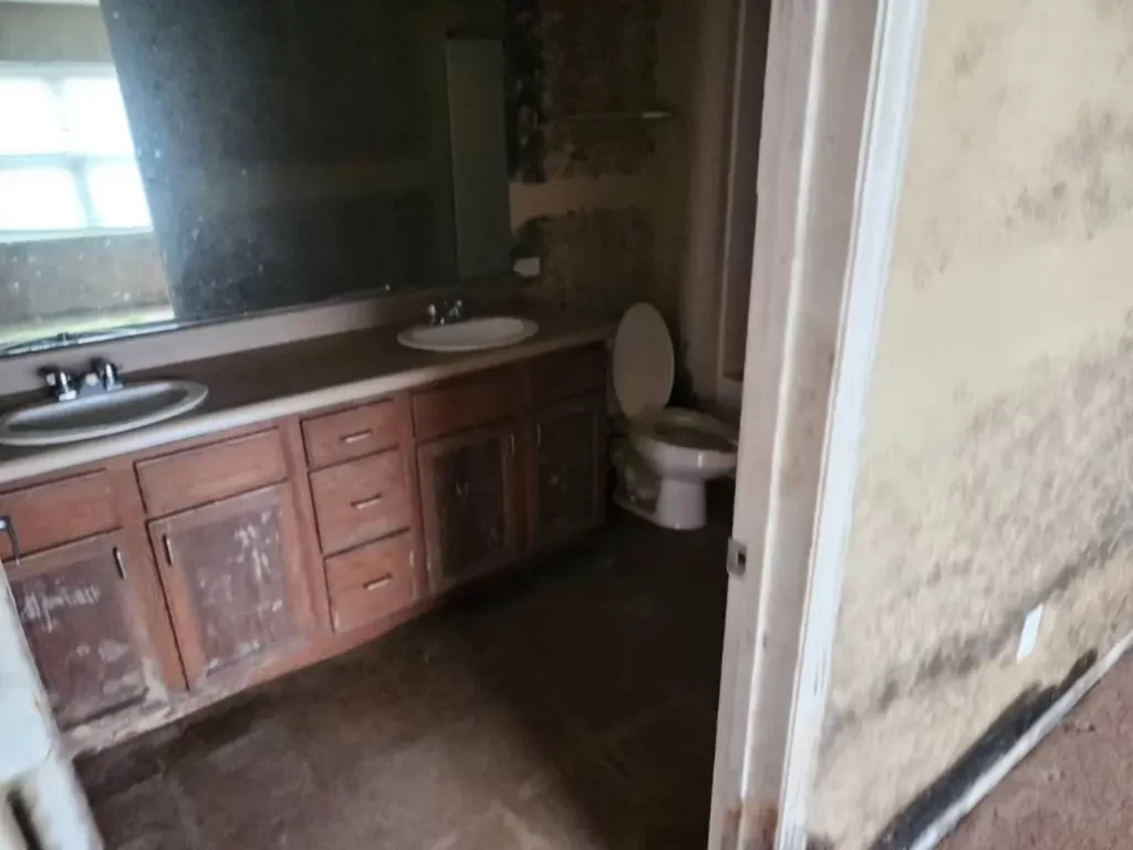 How to Remove Black Mold Safely and Effectively