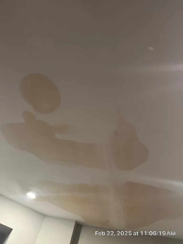 How to Spot a Roof Leak Before Water Damage Spreads