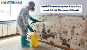 Mold Remediation Services