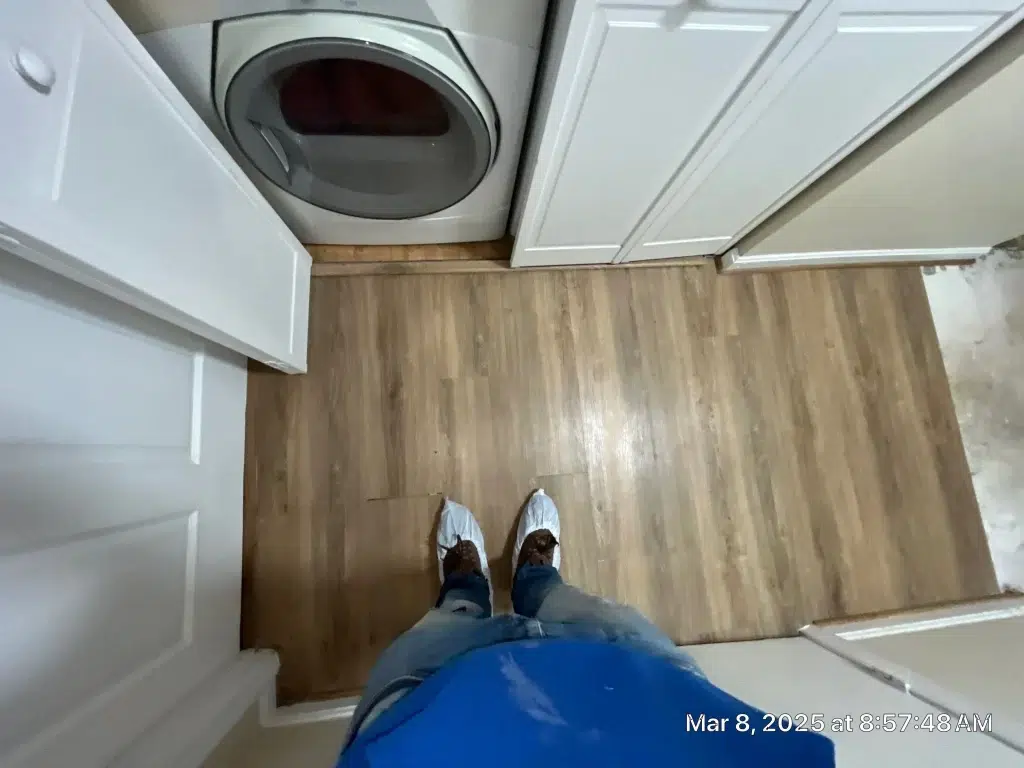 Understanding the Health Risks and Signs of Mold Infestation