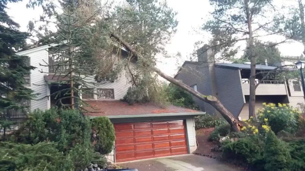 What Is Storm Damage