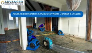 advanced restoration