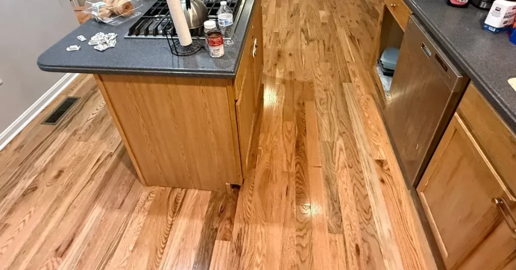 flood damage clean up services