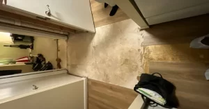 mold removal companies near me