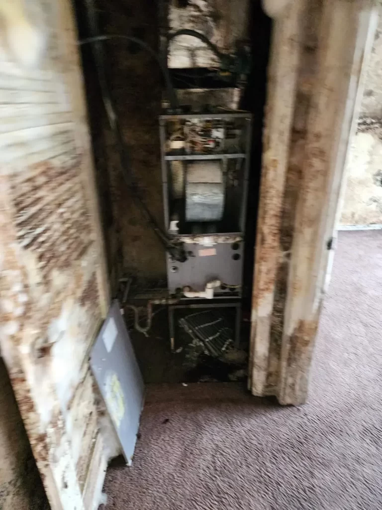 understanding black mold removal services