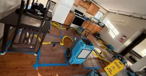 water mitigation services